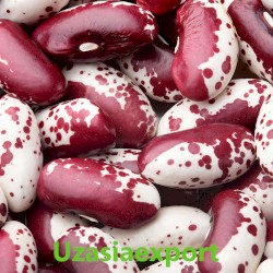 Kidney beans